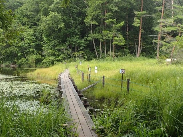 🏞️ 코이가쿠보 습원 이미지 1